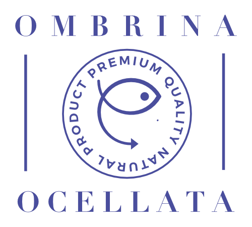 Ombrina Ocellata